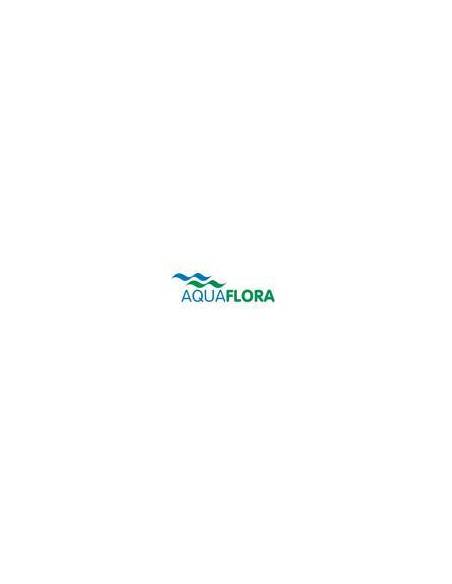 Aquaflora
